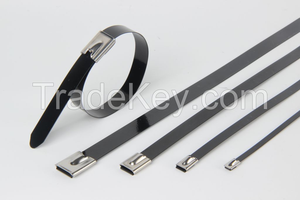 Stainless Steel Epoxy Coated Cable Tie-Ball Lock Type