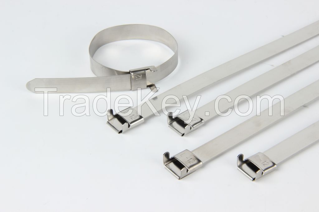 Stainless Steel Cable Tie-Wing Lock Type