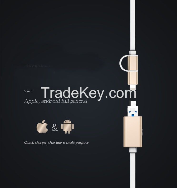 Multi-function date wire