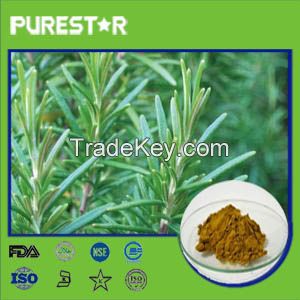 Rosemary Extract, Rosmarinic Acid