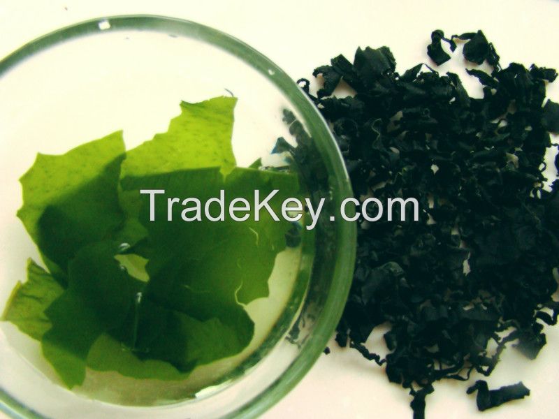 Dried wakame seaweed 