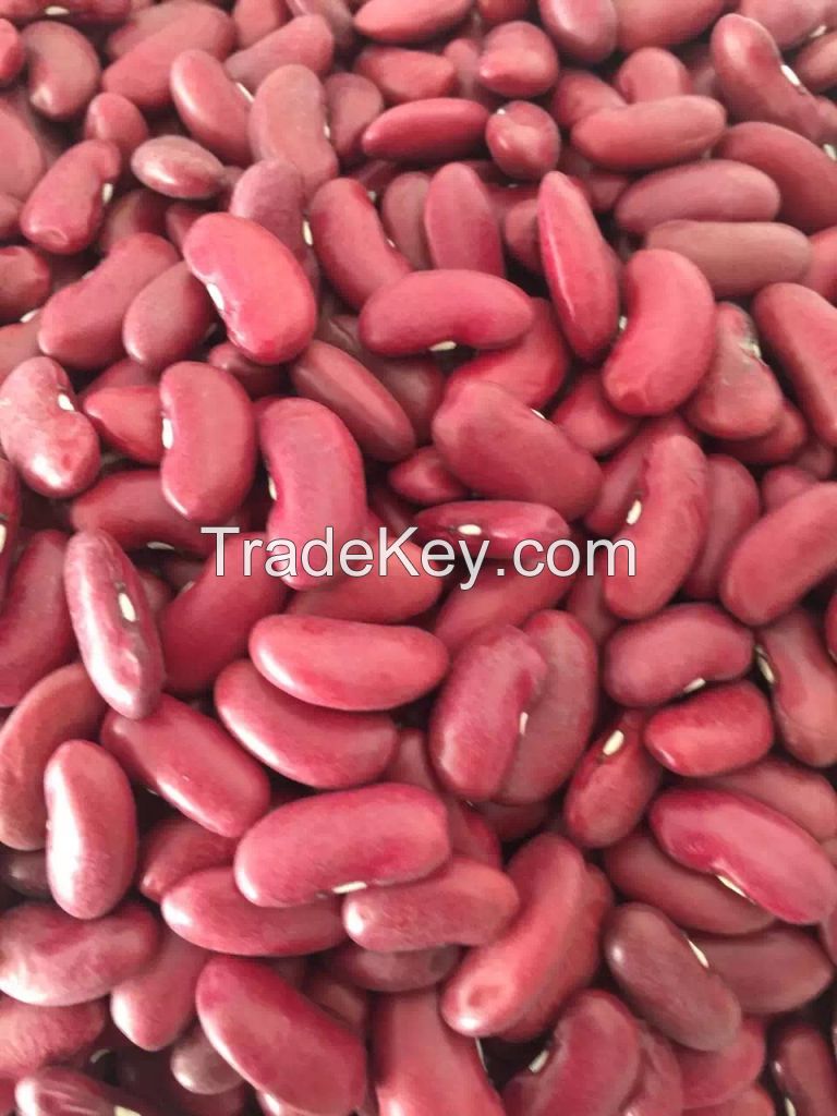Dark red kidney beans