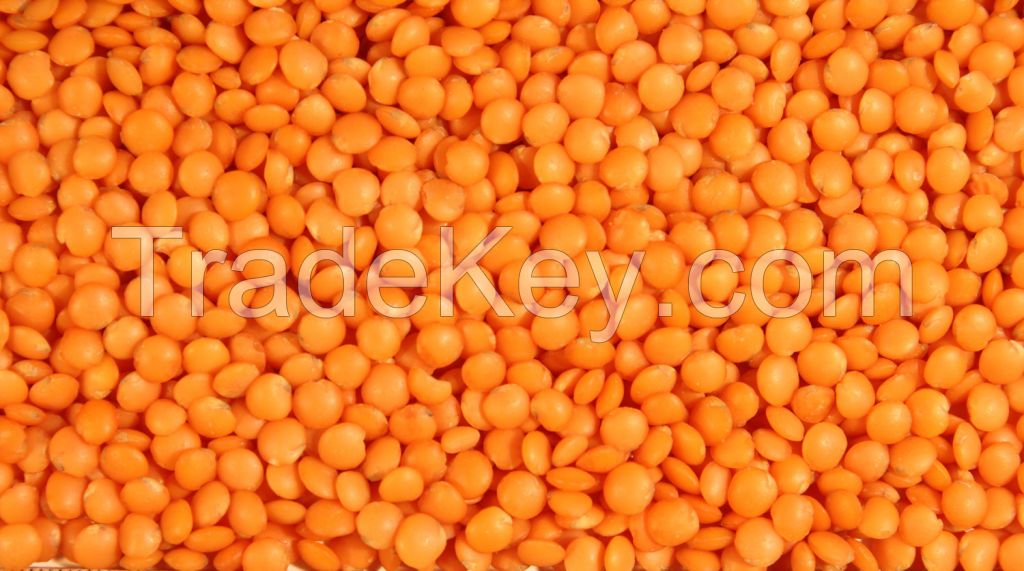 Lentils, Pulses, Chickpeas, Beans, Peas, Canola Seed, Sugar, Rice