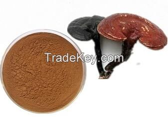 Reishi Mushroom Extract