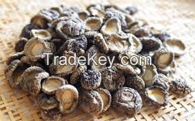 Japanese Dry Shiitake Mushroom