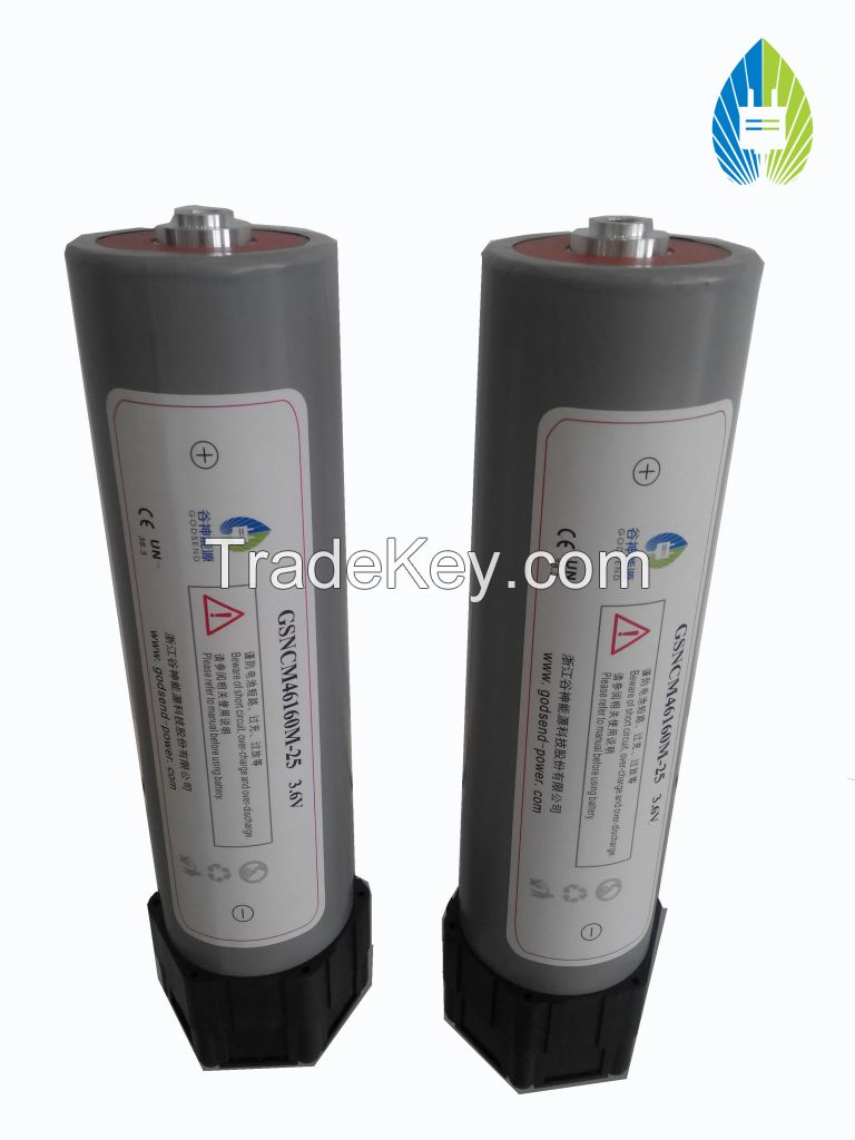 Lithium Ion Battery(NMC25)