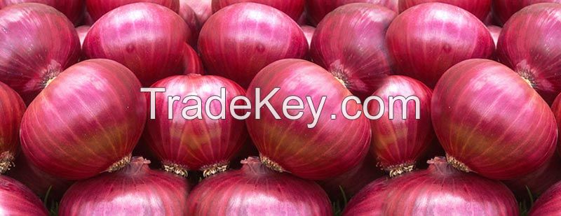 Exporter of High Quality Onion