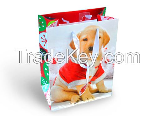 Wholesale Customzied Cheap Paper Bag Gift Bag For Gift