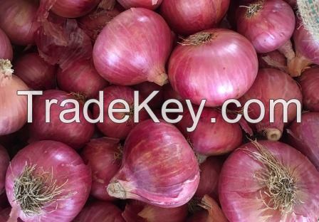 Red Onion