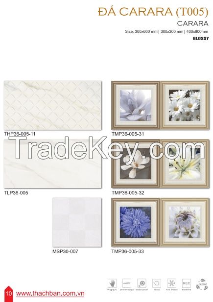 CERAMIC WALL TILES - CARARA T005