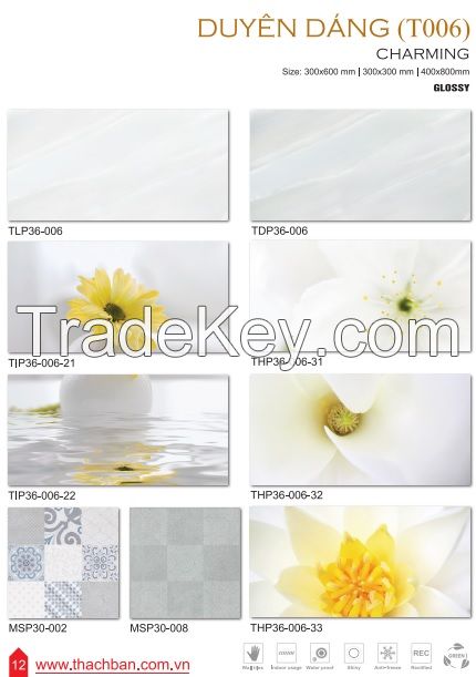 CERAMIC WALL TILES - CHARMING T006