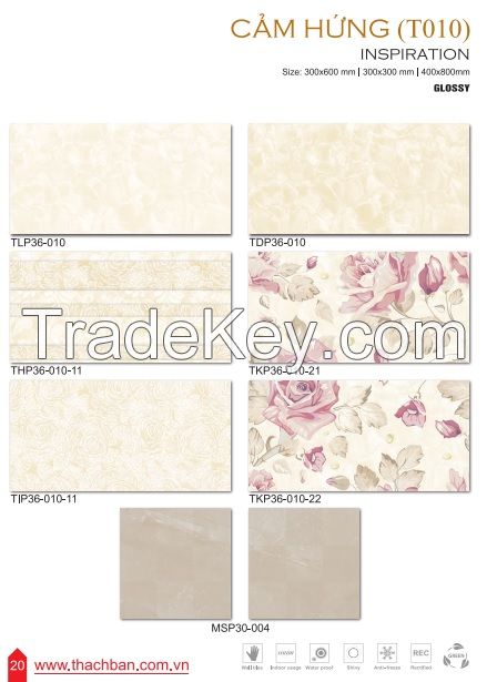 CERAMIC WALL TILES - INSPIRATION T010