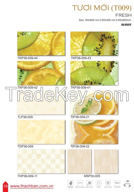 CERAMIC WALL TILES - FRESH T009