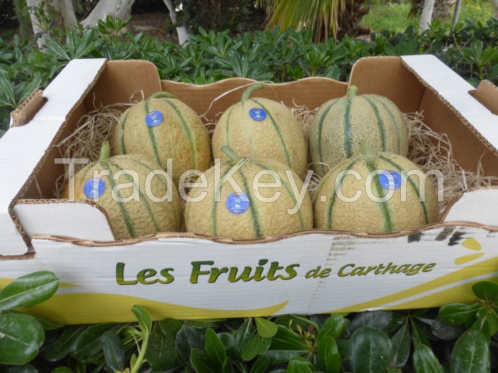 Melon Charentais BrodÃÂ© by Les Fruits De Carthage