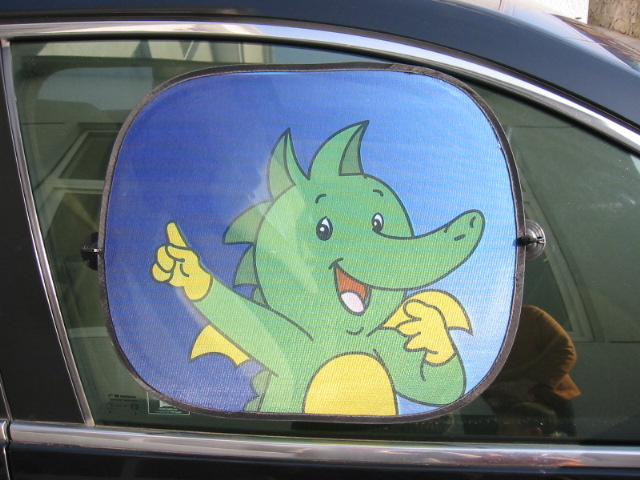 car sun shade