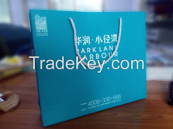 Company Promotion Gift/Shopping Paper Printing Bag