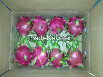 Dragon Fruit.