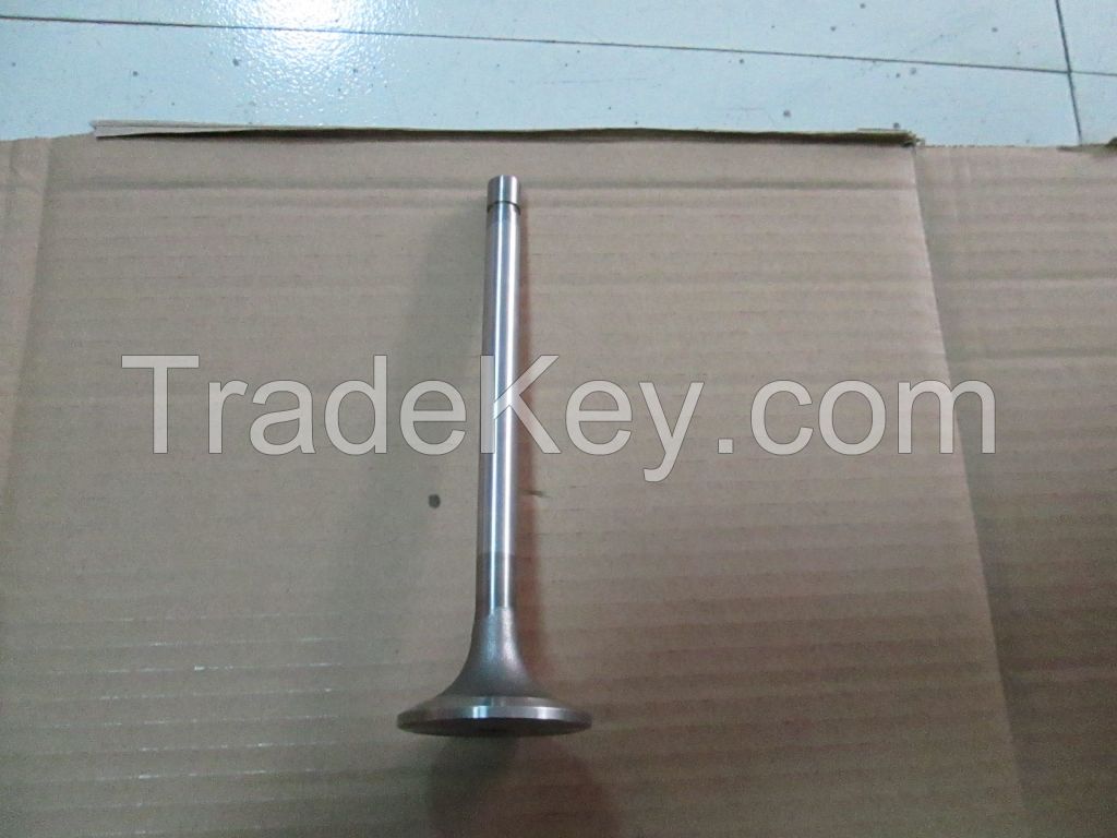 Reinforced Intake Valve