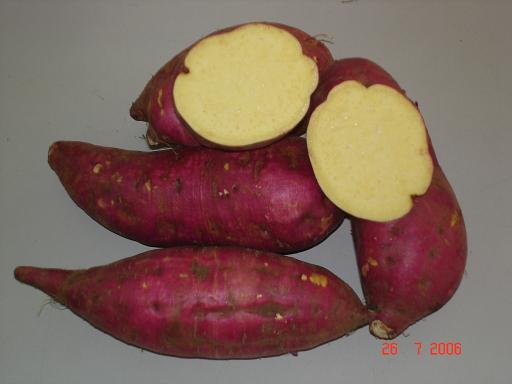 sweet potato