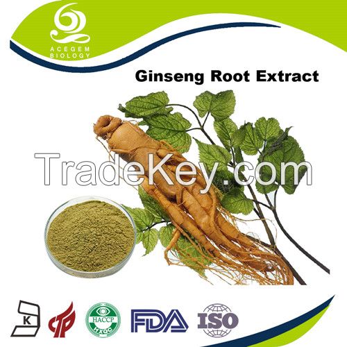 Panax Ginseng Root Extract Powder 5% Ginsenosides HPLC