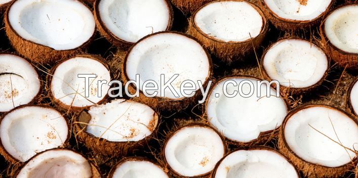 Mature Coconut