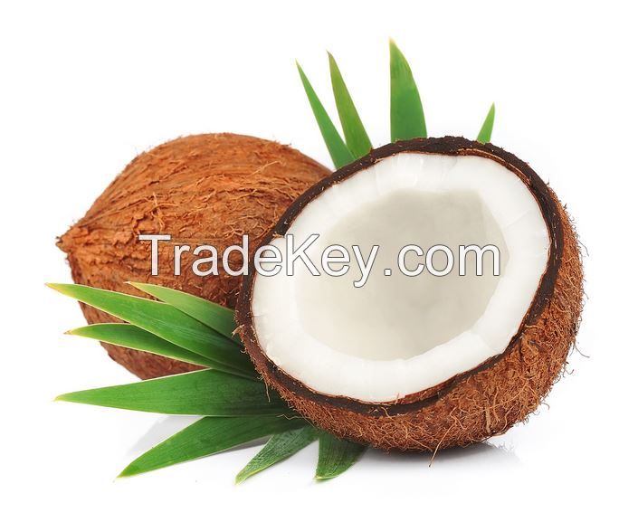 Mature Coconut