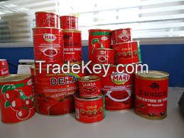 Canned Tomato Paste Sachet Tomato Paste  Tomato Sauce Tomato Puree Tomato Ketchup