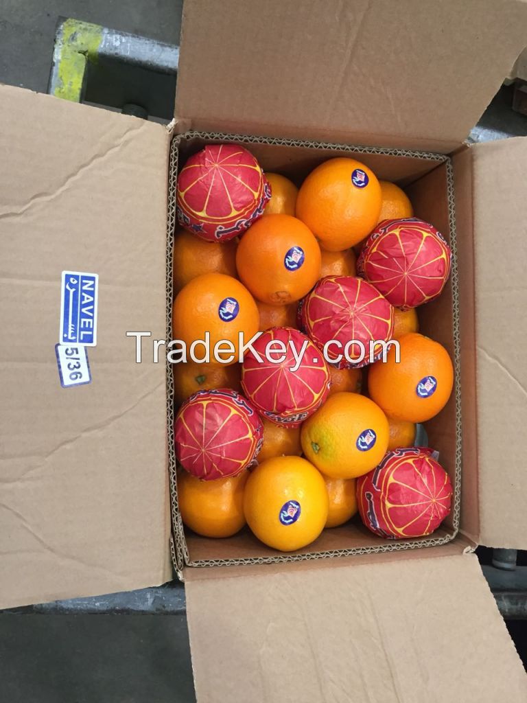 Fresh Oranges