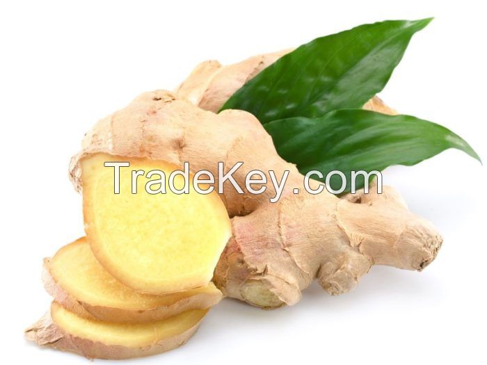 Ginger Root/ Powder