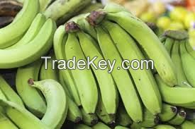 Fresh Green Cavendish Bananas Class A