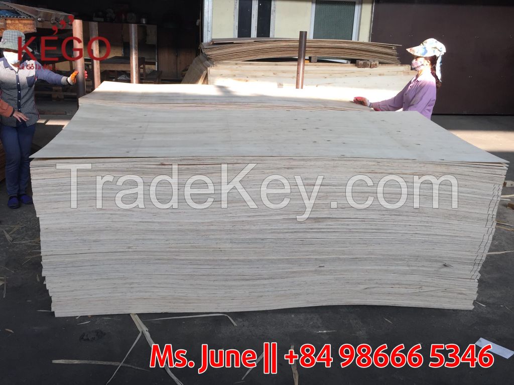 Packing plywood BC cheap price for sale