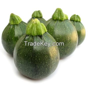 ROUND ZUCCHINI