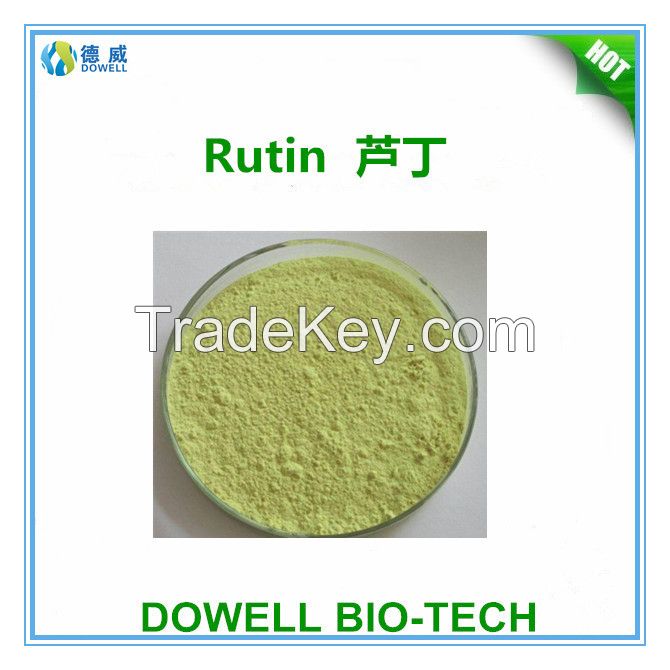 Top Quality Wholesale Product Best Price  Rutin  Powder