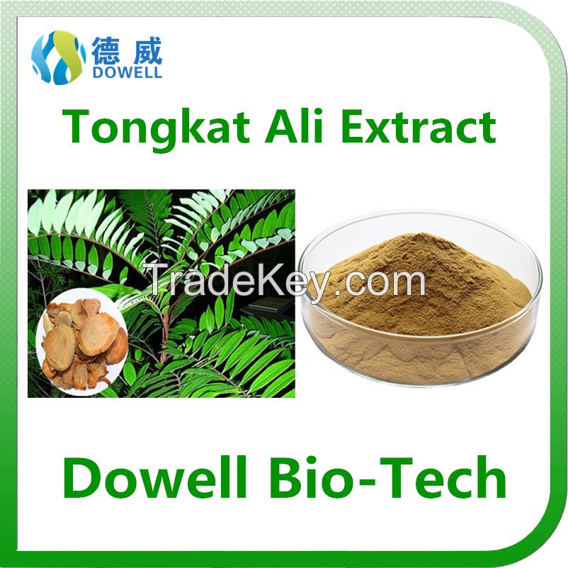 Sex Enhancement Product Tongkat Ali Extract