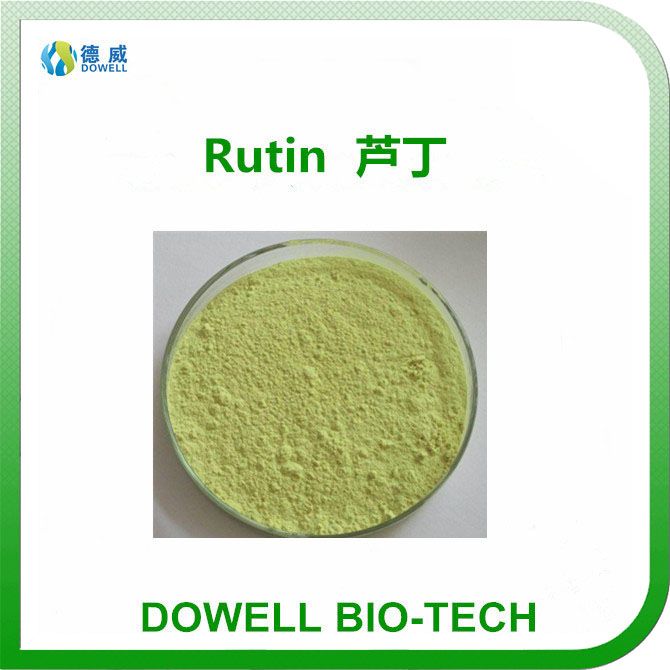 Factory Supply Sophora Japonica Extract , Rutin , Quercetin