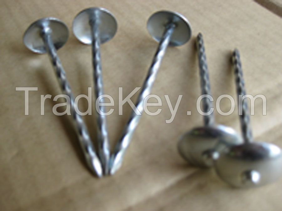 umbrella head roofing nails from manufacture in china