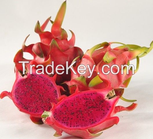 Vietnam Red Flesh Pitaya Fruits