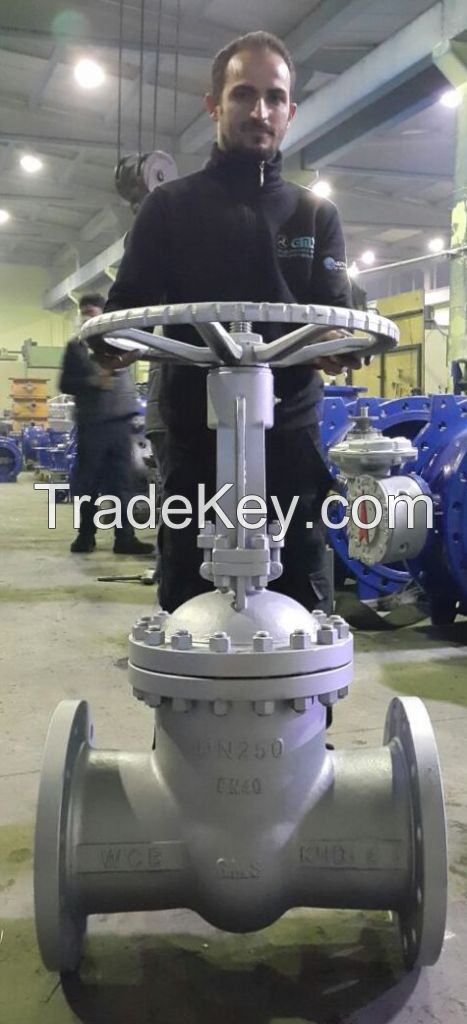 gate valve TURKEY