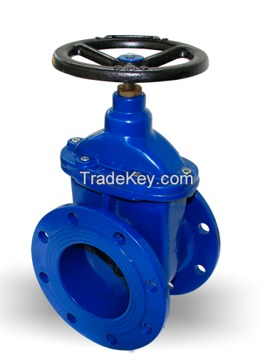 gate valve TURKEY