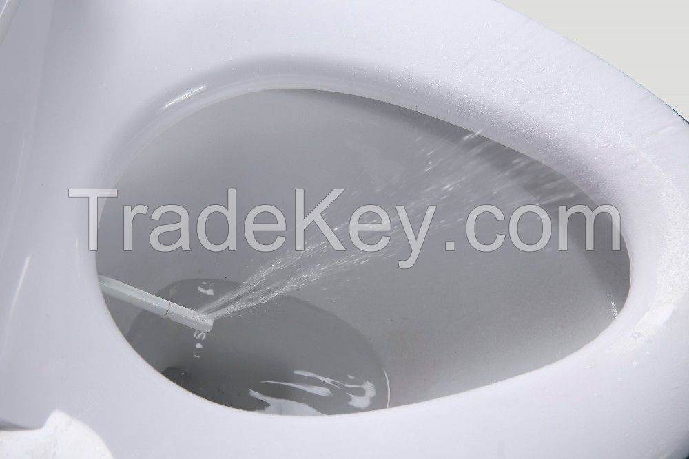 Heated bidet toilet seat  RSD3600 heated water spray