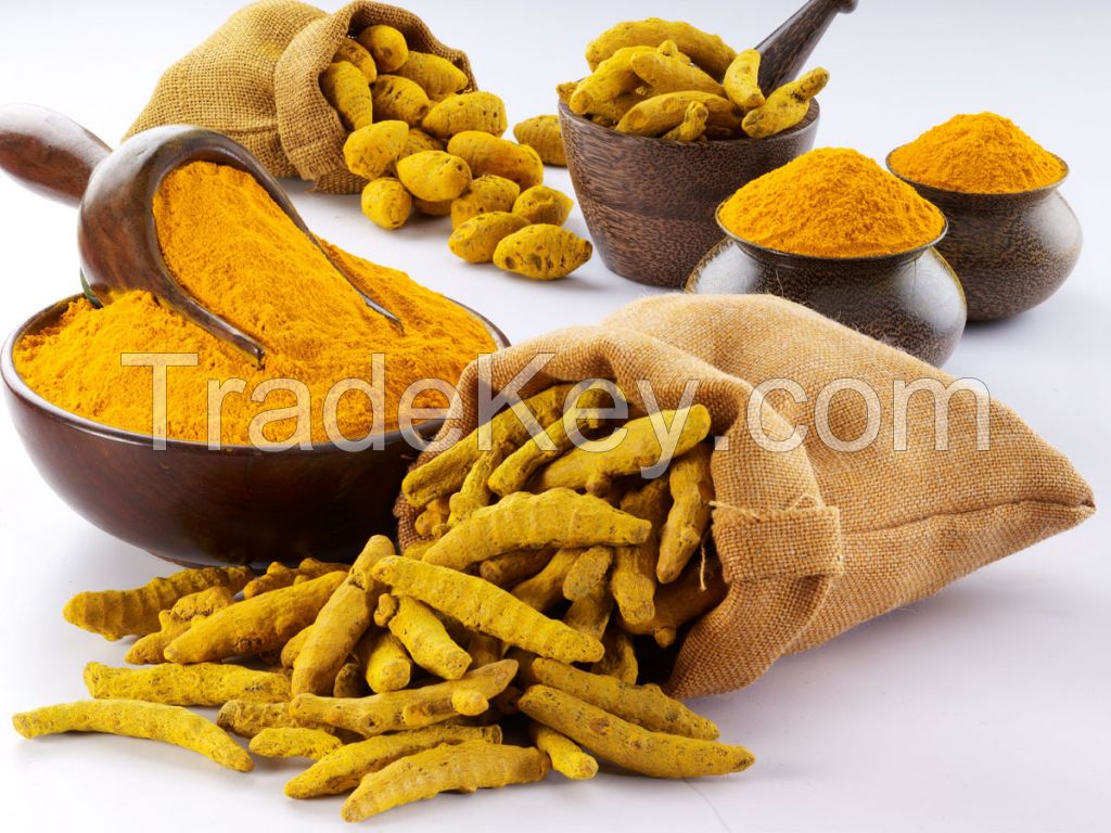 Turmeric fingers or Turmeric powder