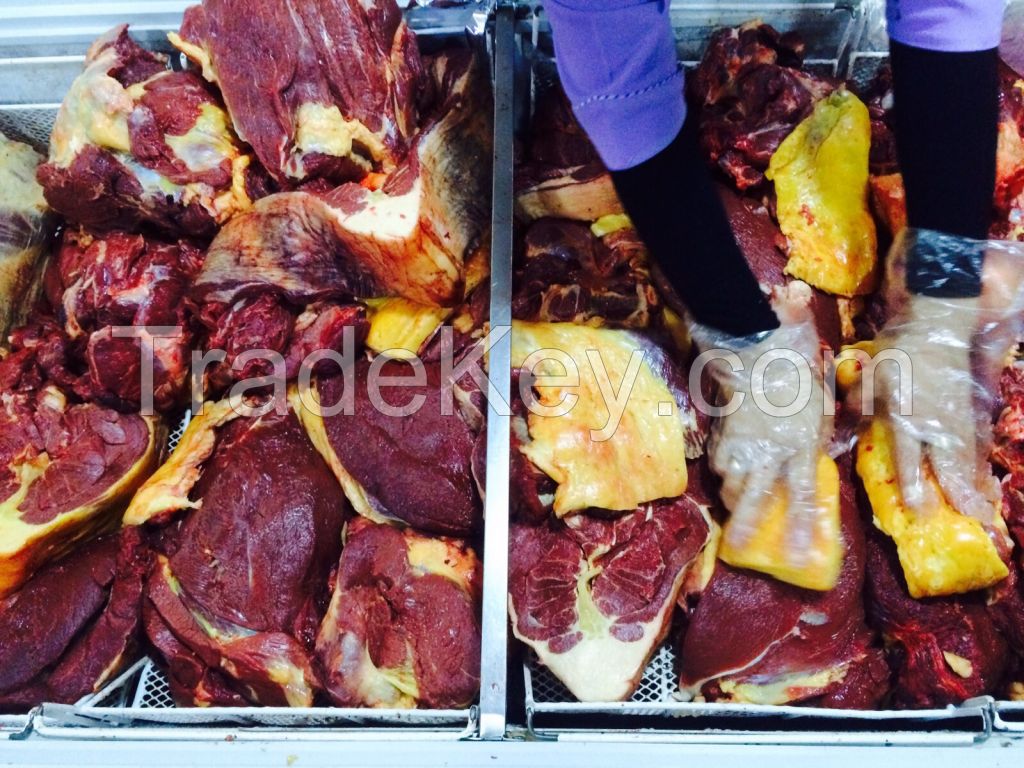 èå¤å½ç¾é©¬çå±±ç¾è