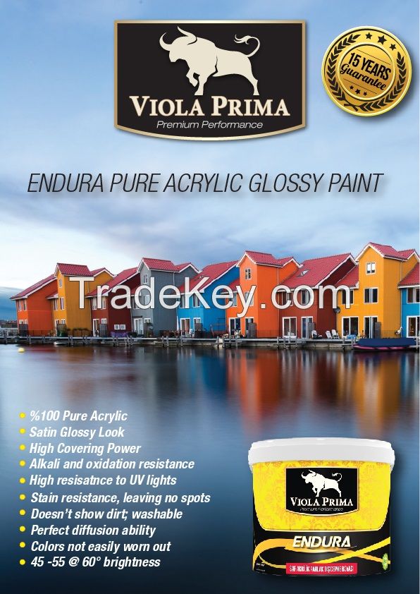 Endure pure acrylic glossy paints