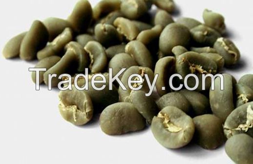 Grade 2 Arabica Coffee Beans from Sumatra