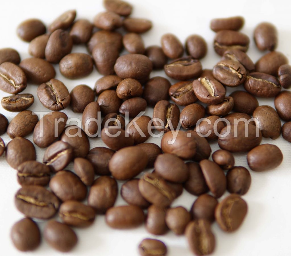 Roasted Robusta Coffee Beans from Sumatra