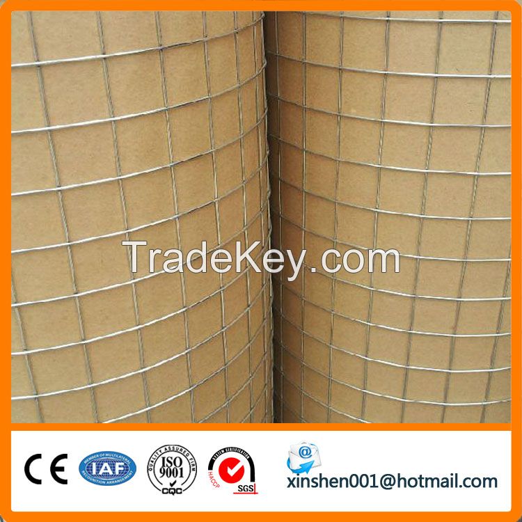 Galvanized/pvc coated welded wire mesh / 6x6 reinforcing welded wire m