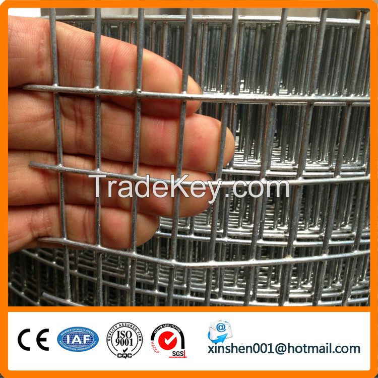 Galvanized/pvc coated welded wire mesh / 6x6 reinforcing welded wire m