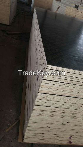 Poplar Core Brown 12mm Film Faced Plywood