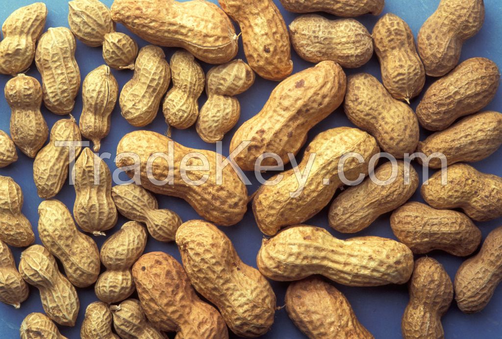 Peanuts