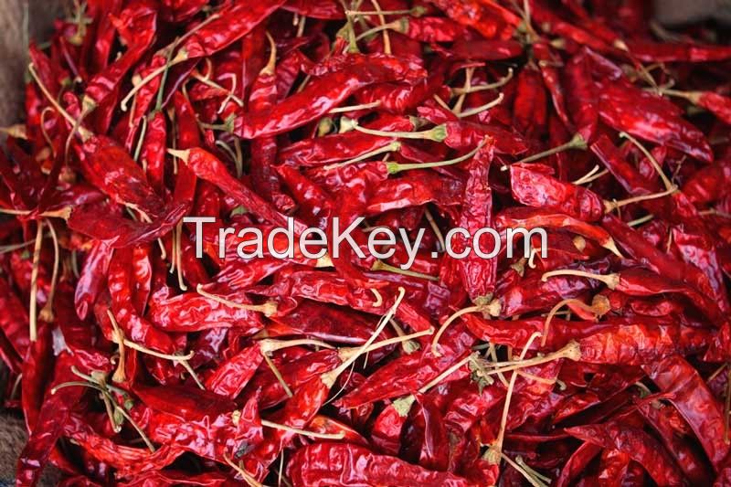 Dry Red Chillies